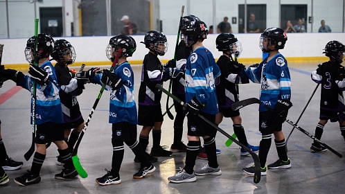 House League Program